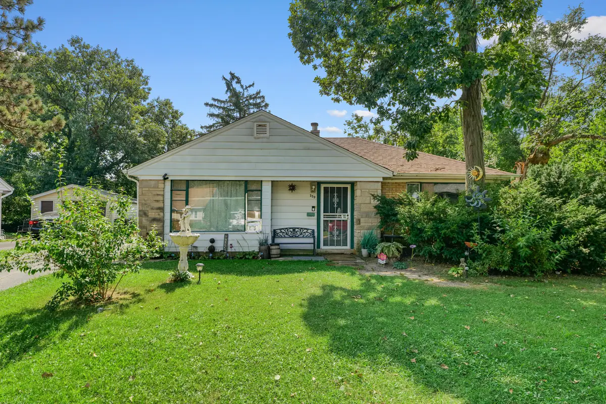 339 Oswego Street, Park Forest, IL 60466 - #1