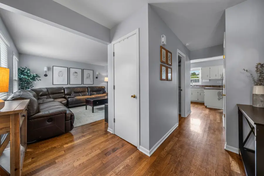 6114 1/2 Leonard Avenue, Downers Grove, IL 60515 - #3