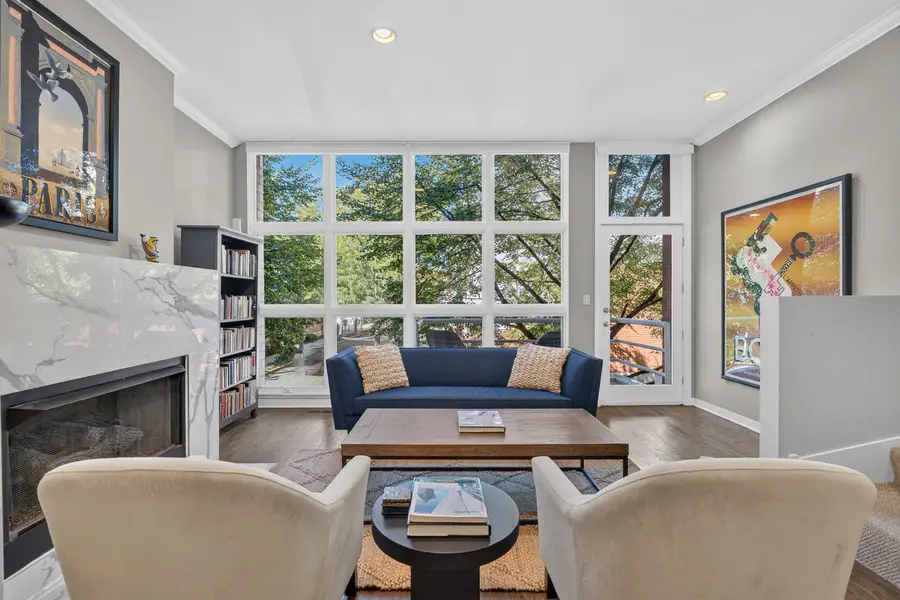 1741 W George Street, Chicago, IL 60657 - #3
