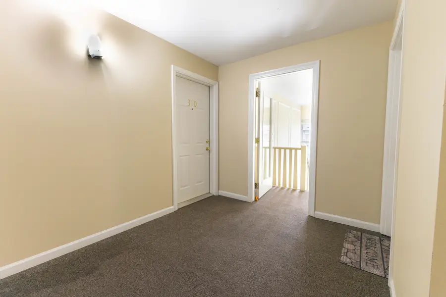 9994 S 84th Terrace #310, Palos Hills, IL 60465 - #3