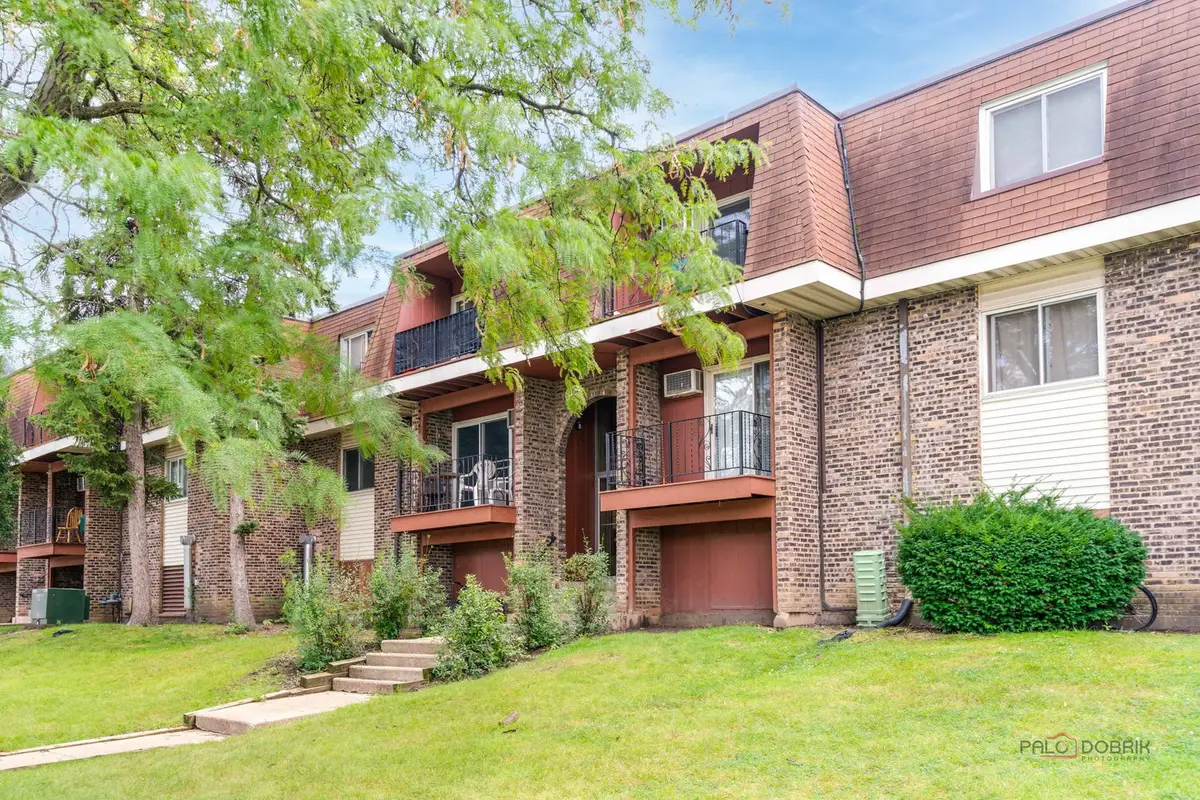 575 Heritage Drive #206, Schaumburg, IL 60169 - #1