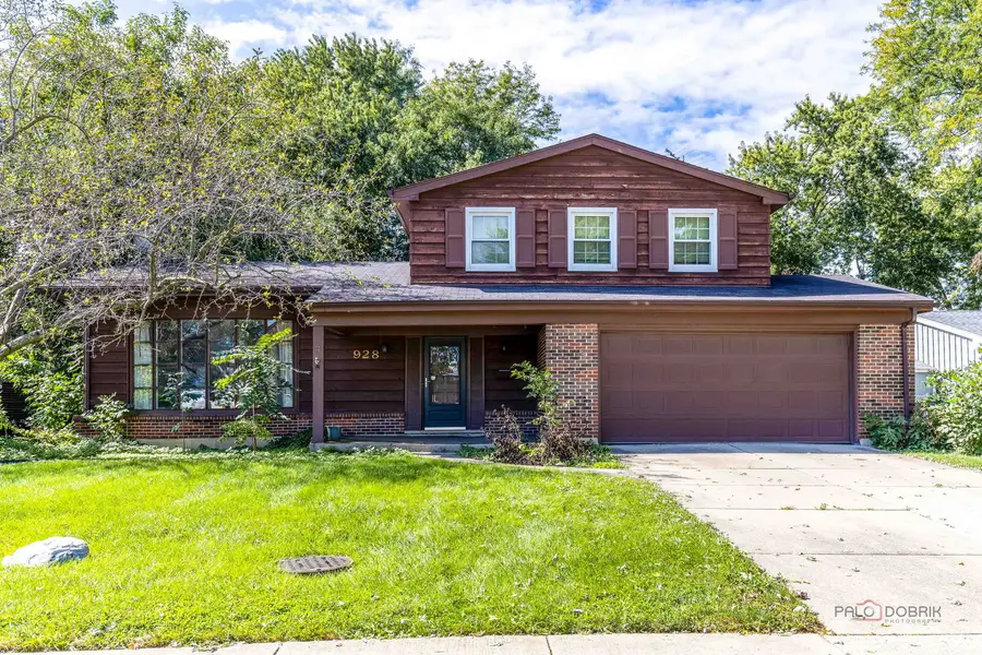 928 Rohlwing Road, Palatine, IL 60074 - #2