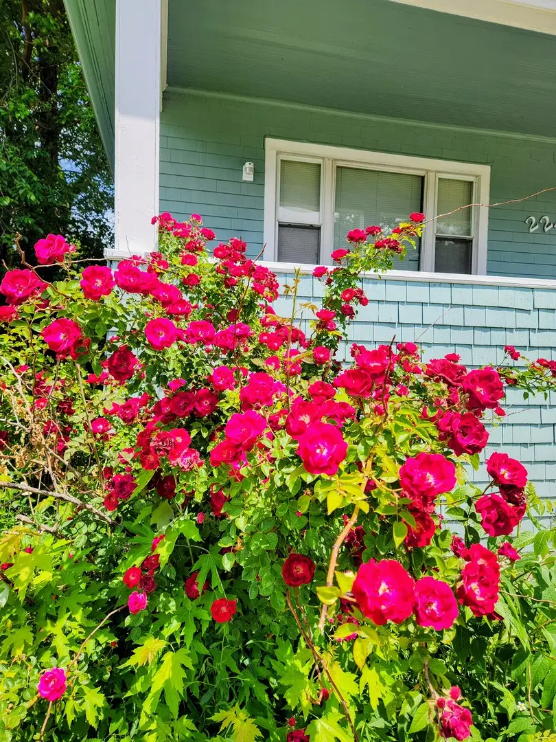 2244 121st Street, Blue Island, IL 60406 - #2