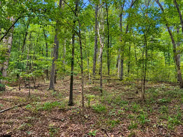 0000 Perry Road, Golconda, IL 62938