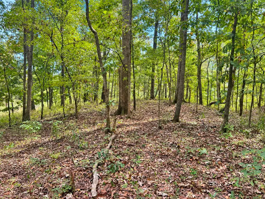 0000 Perry Road, Golconda, IL 62938 - #2
