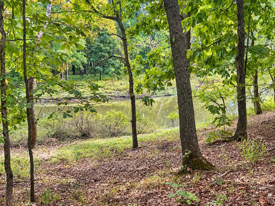 0000 Perry Road, Golconda, IL 62938 - #3