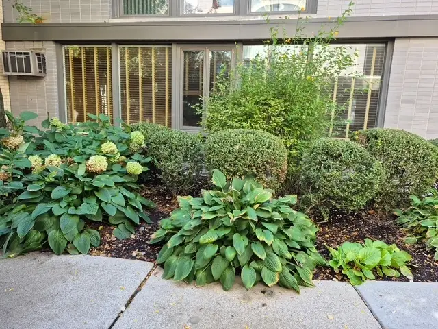 1044 Ontario Street #1A, Oak Park, IL 60302 - #3