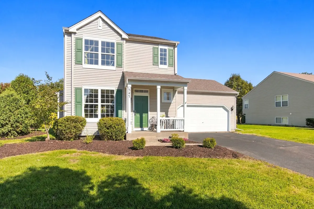 347 Coneflower Drive, Minooka, IL 60447 - #1