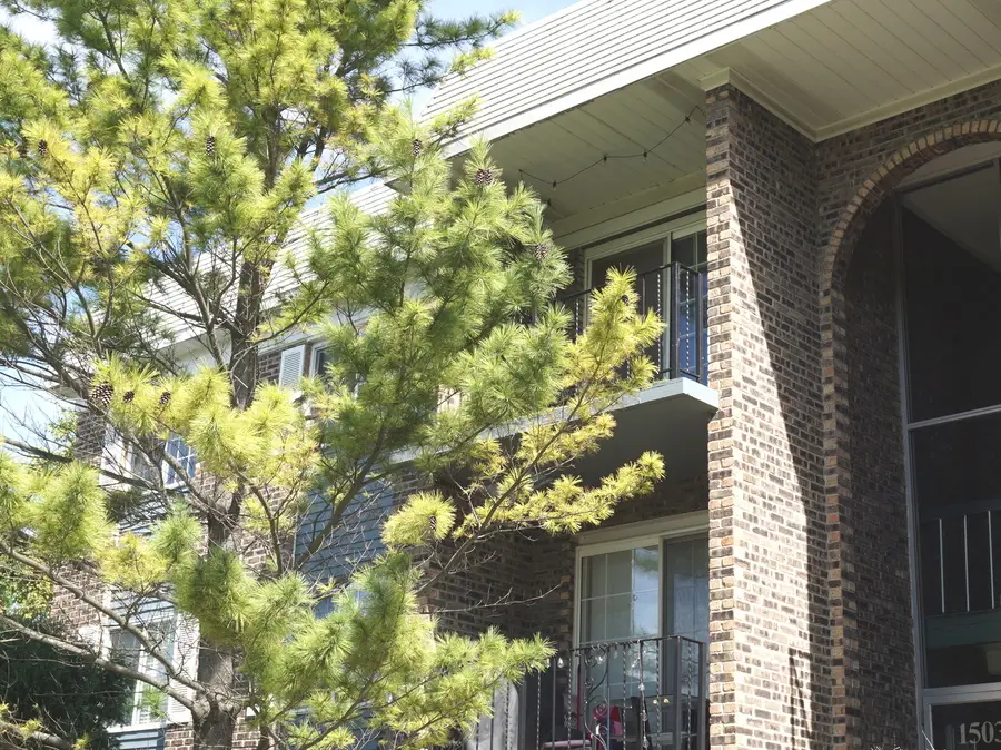 1503 N Windsor Drive #302, Arlington Heights, IL 60004 - #2