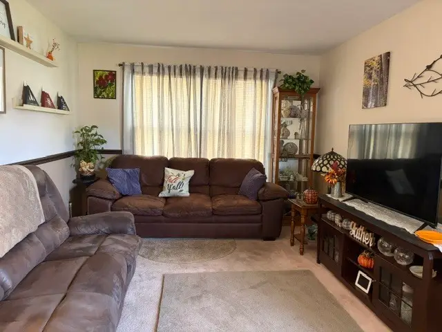 915 W 1st Street, Spring Valley, IL 61362 - #2