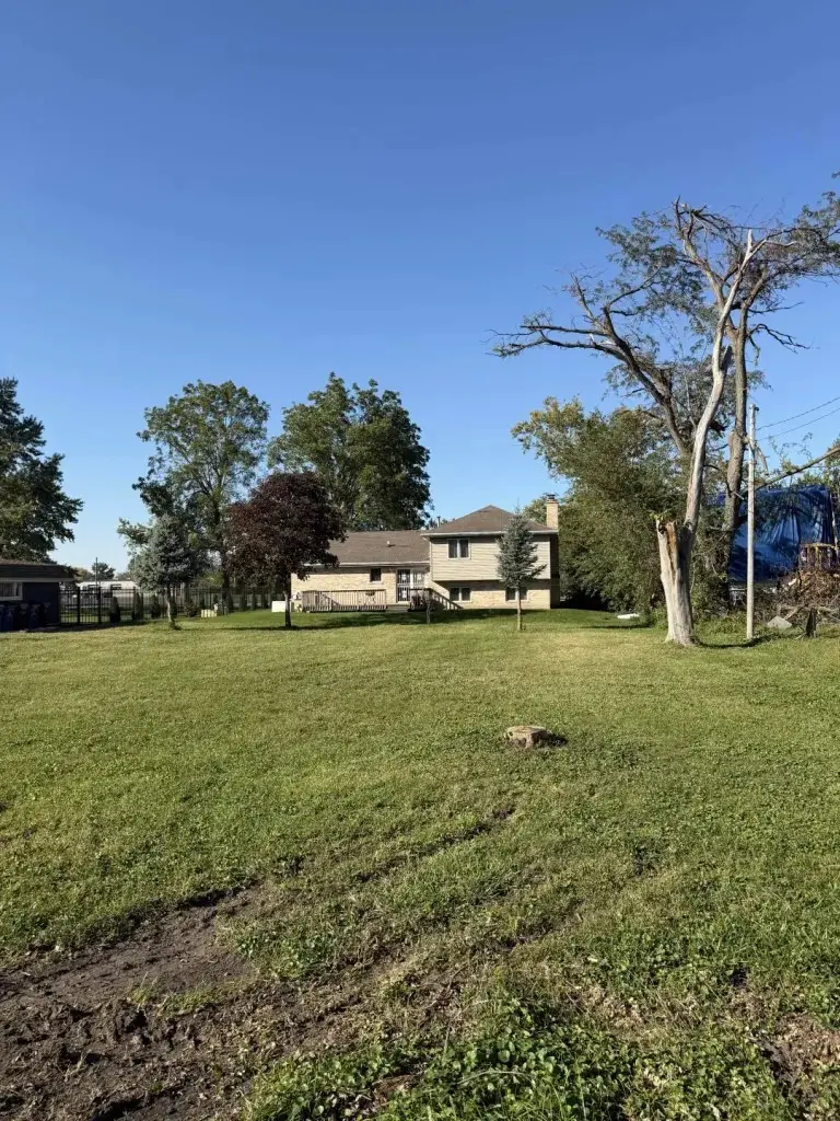 763 Coales Road, Chicago Heights, IL 60411 - #2
