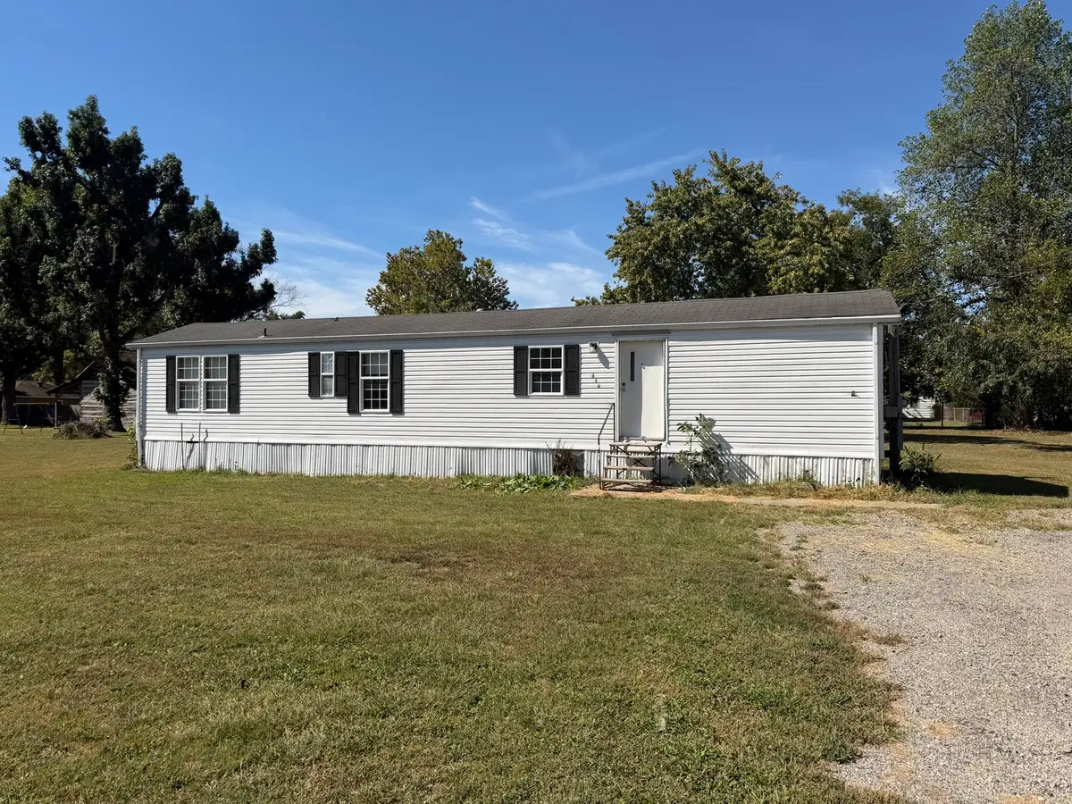 313 Leonard Street, Du Quoin No 8, IL 62832 - #1