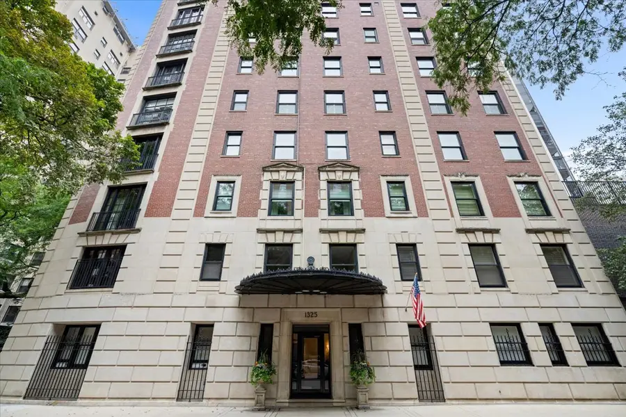 1325 N Astor Street #2, Chicago, IL 60610 - #2