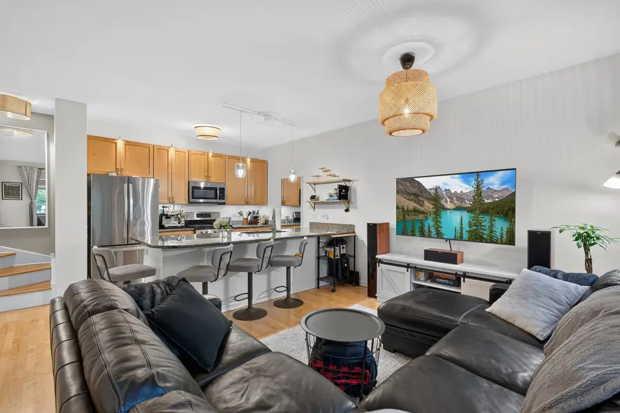 3253 N Bay Court, Chicago, IL 60618 - #3