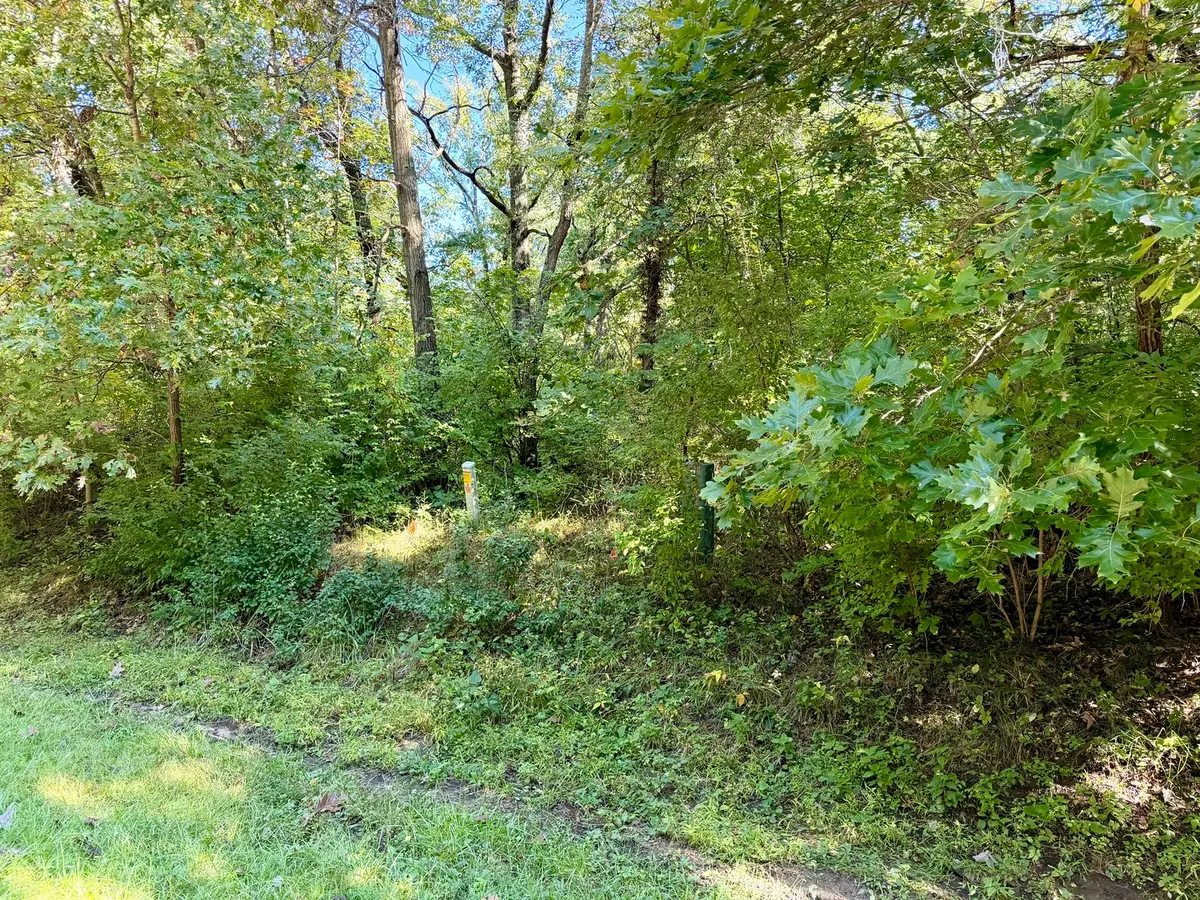 412 Slippery Rock Drive, Dixon, IL 61021 - #1