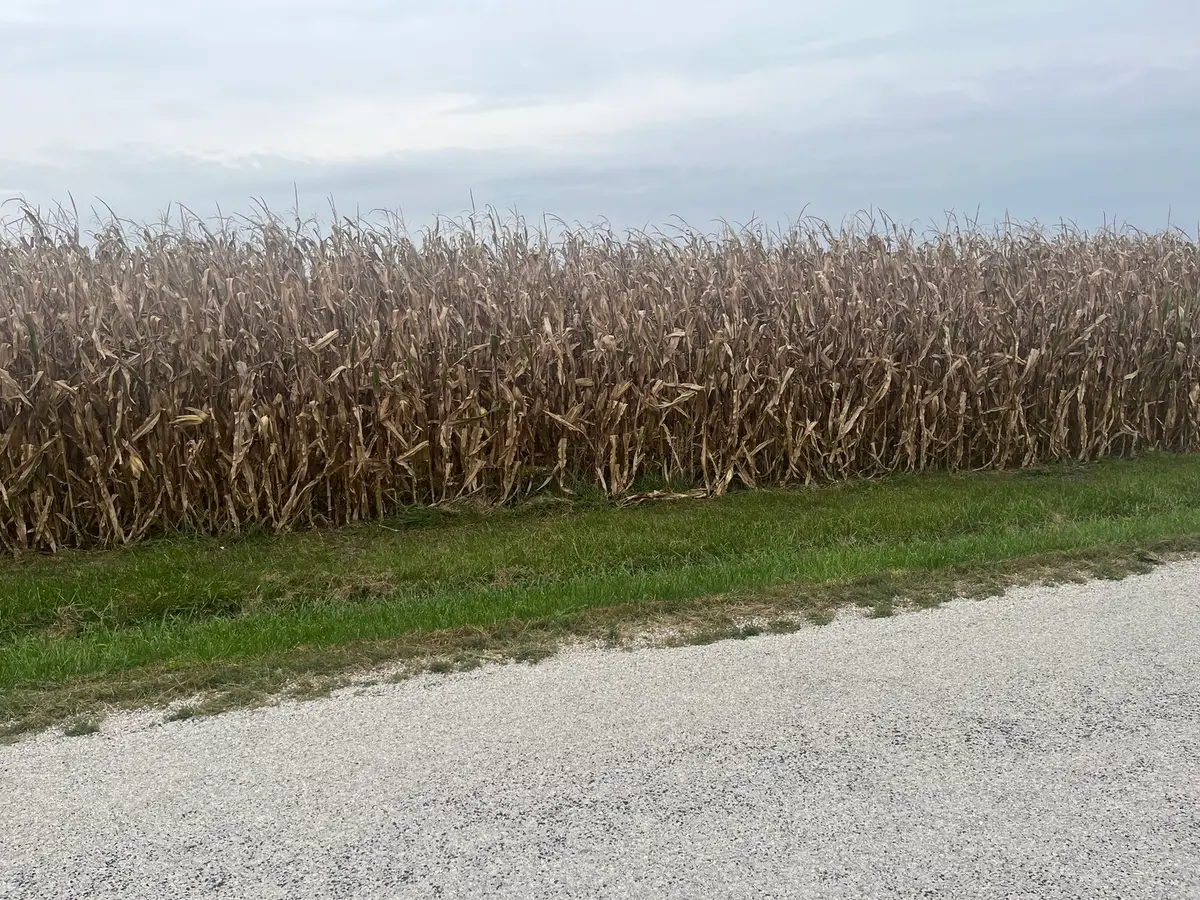 1293 County Road 2400 E, Saint Joseph, IL 61873 - #1