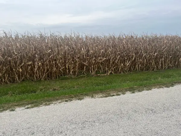 1293 County Road 2400 E, St. Joseph, IL 61873