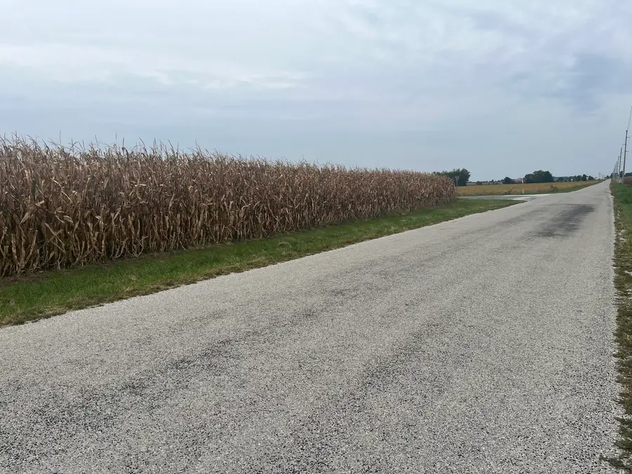 1293 County Road 2400 E, Saint Joseph, IL 61873 - #2