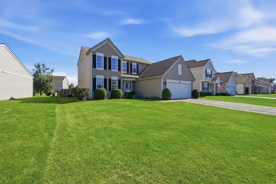 706 Silver Fox Drive, Joliet, IL 60431 - #3