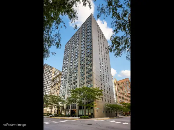 253 E Delaware Place #18AB, Chicago, IL 60611