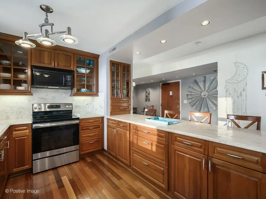 253 E Delaware Place #18AB, Chicago, IL 60611 - #3