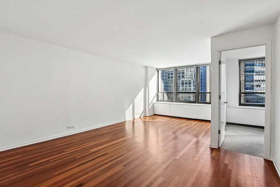 222 E Pearson Street #1006, Chicago, IL 60611 - #2