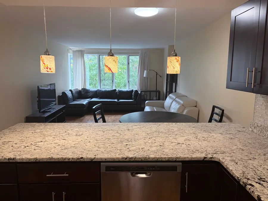 801 S Plymouth Court #306, Chicago, IL 60605 - #3