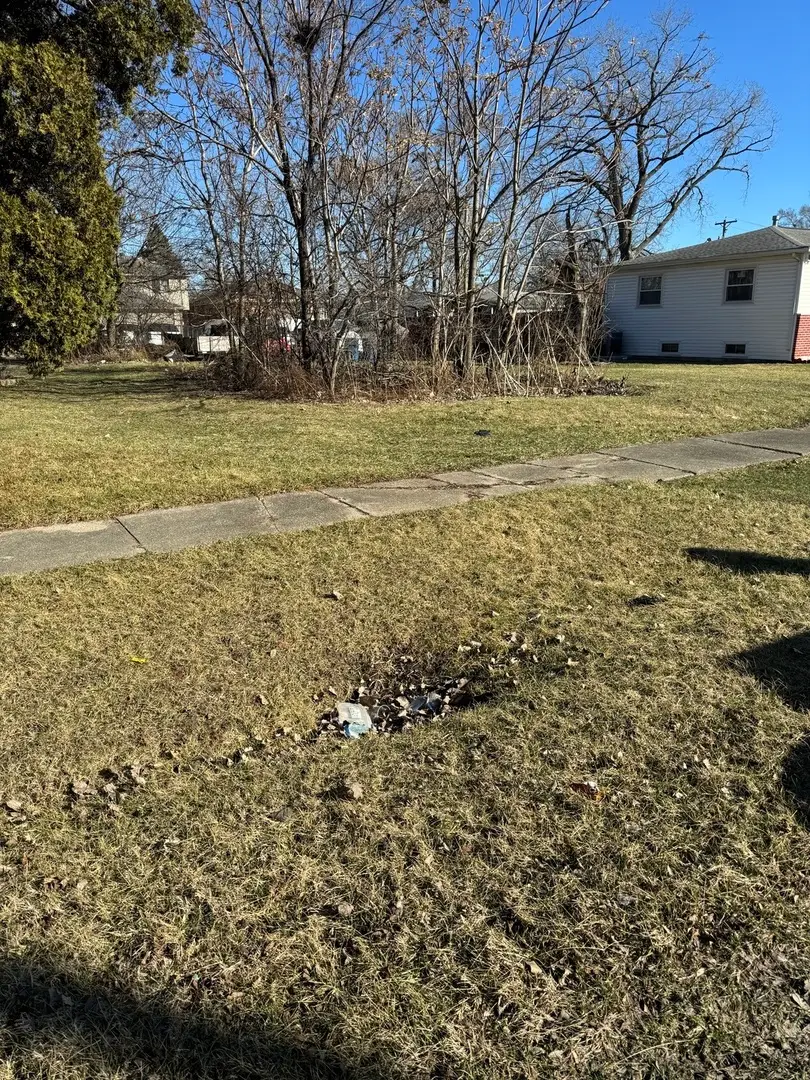 14423 Davis Avenue, Blue Island, IL 60406 - #1
