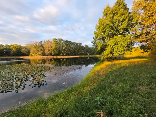 000 E Knox Road, Mount Vernon, IL 62864 - #1