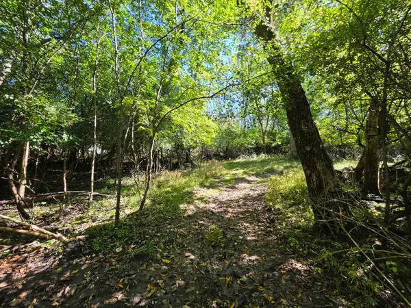 Lot 13 Pokagon Trail, Algonquin, IL 60102