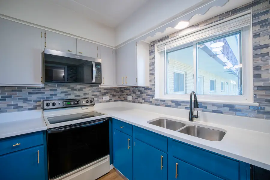 3N550 Crown Road #9, Elmhurst, IL 60126 - #2