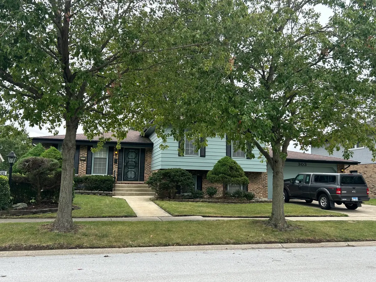 303 S University Avenue, Glenwood, IL 60425 - #1