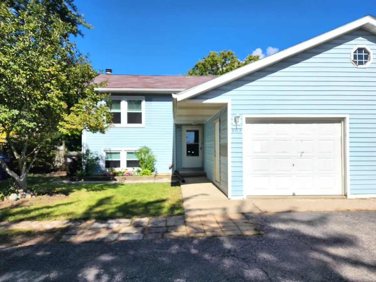 903 E Liberty Street, Wauconda, IL 60084 - #1