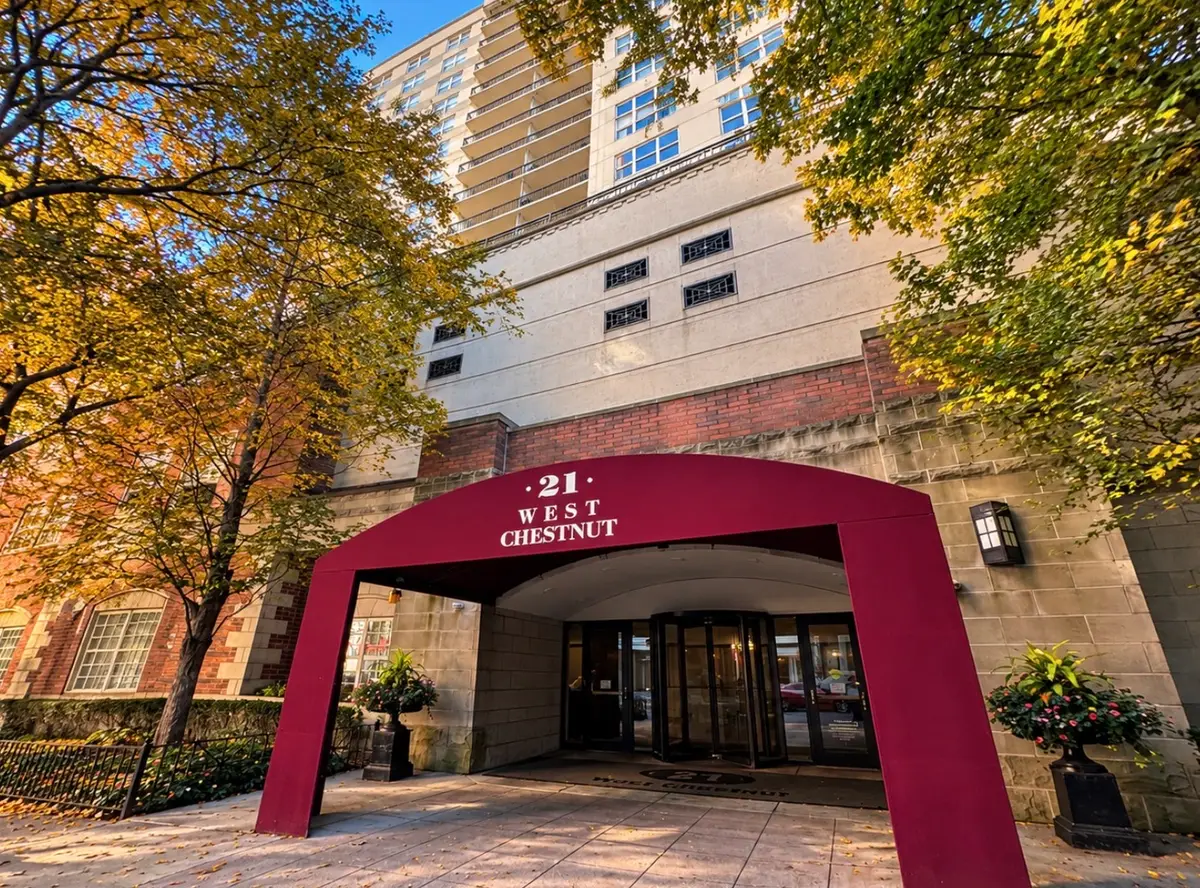 21 W Chestnut Street #806, Chicago, IL 60611 - #1