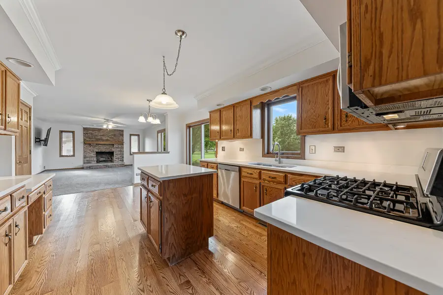 1761 Pheasant Lane, New Lenox, IL 60451 - #3