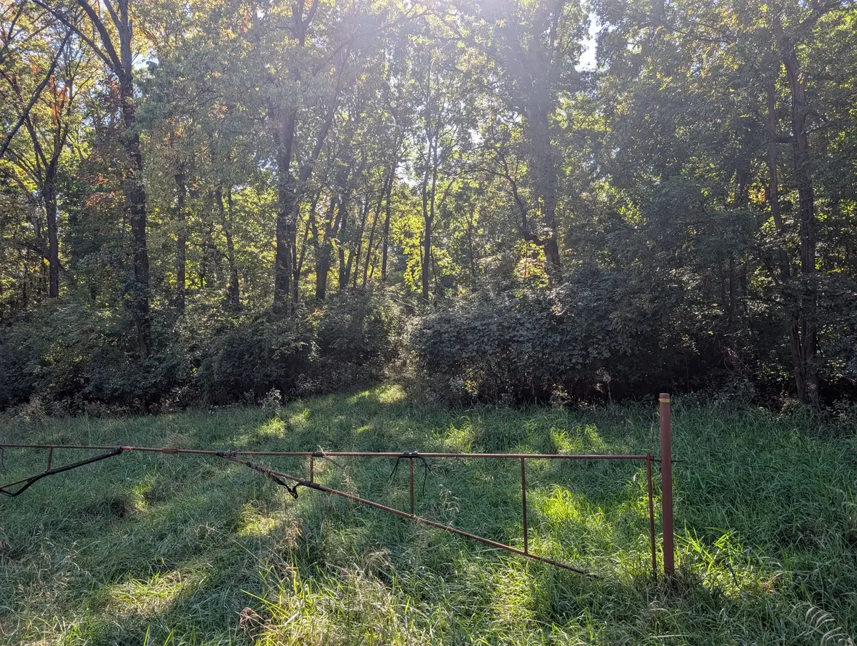 1 Rural Route Road, Dewitt, IL 61735 - #1
