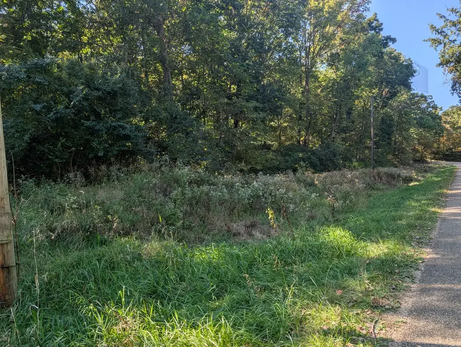 1 Rural Route Road, Dewitt, IL 61735 - #3