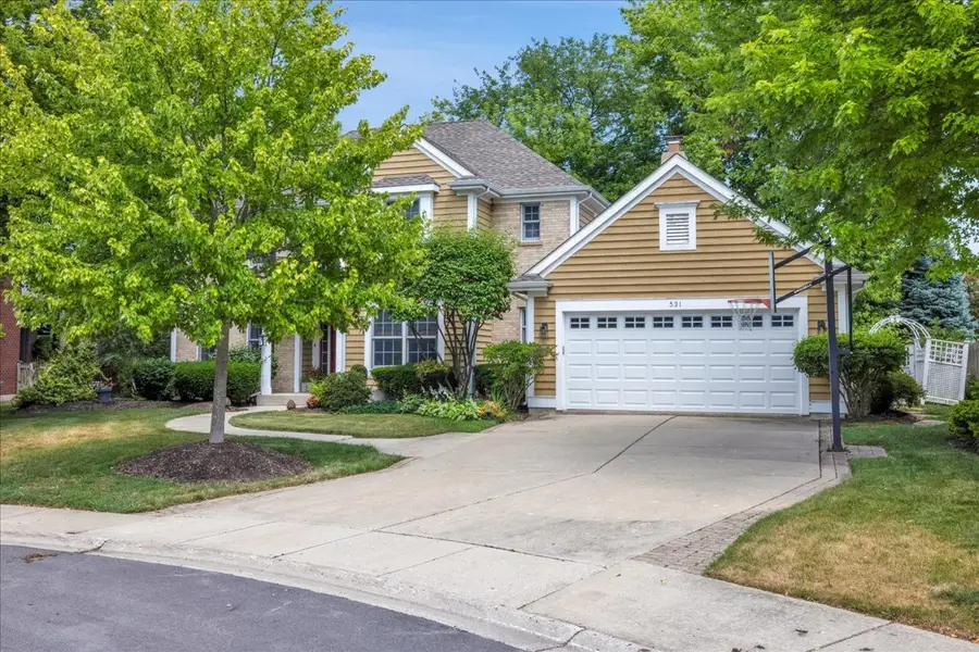 531 N Easy Street, Palatine, IL 60067 - #2