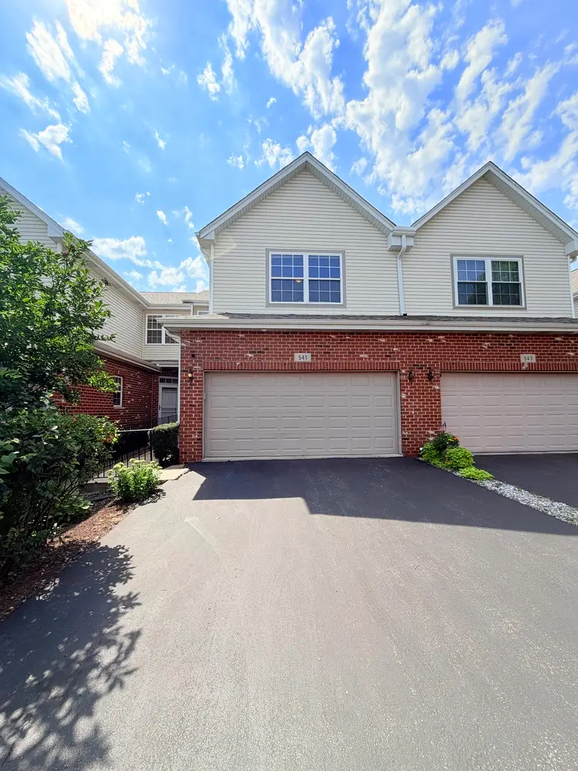 541 Goodwin Drive, Bolingbrook, IL 60440 - #2