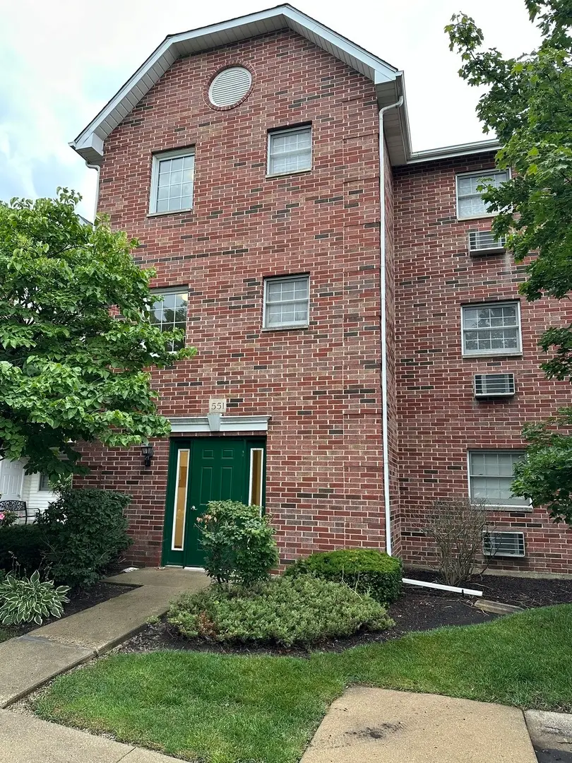551 Leah Lane #3B, Woodstock, IL 60098 - #2