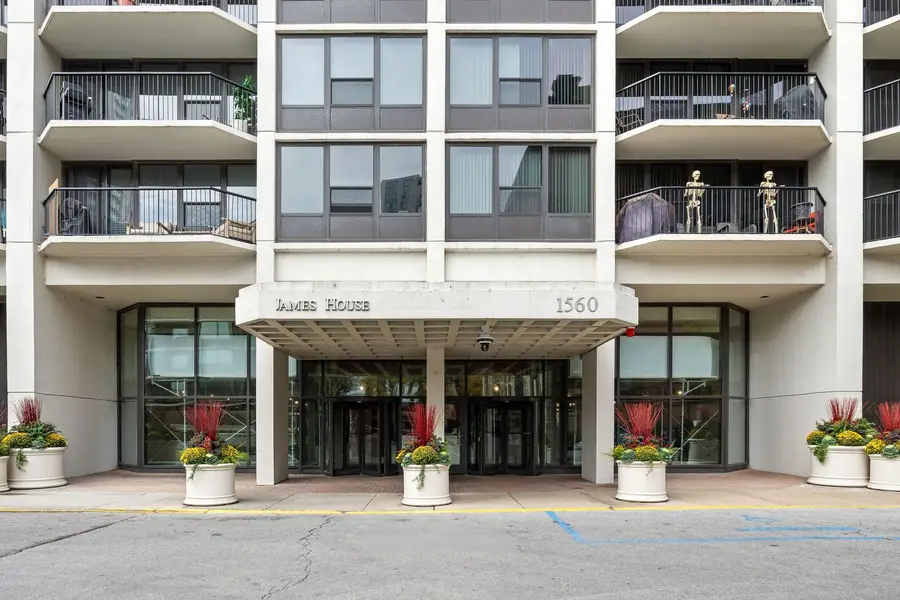1560 N Sandburg Terrace #3011J, Chicago, IL 60610 - #2
