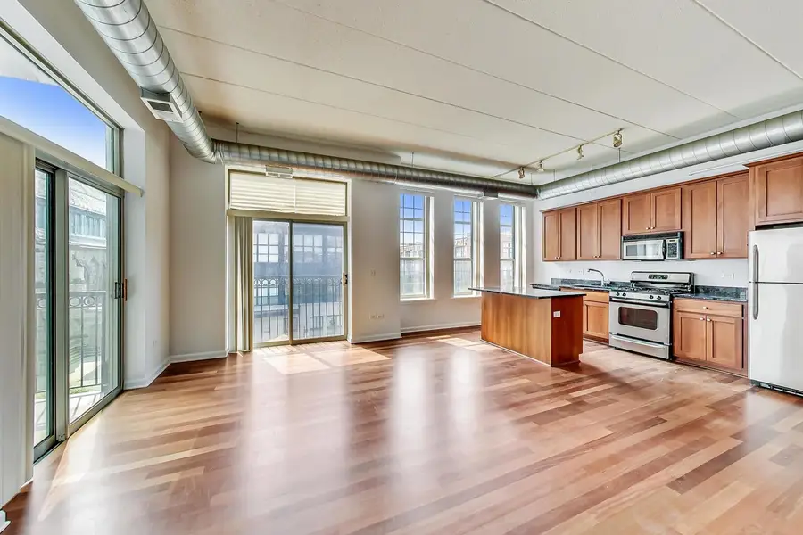 1919 S Michigan Avenue #302, Chicago, IL 60616 - #3