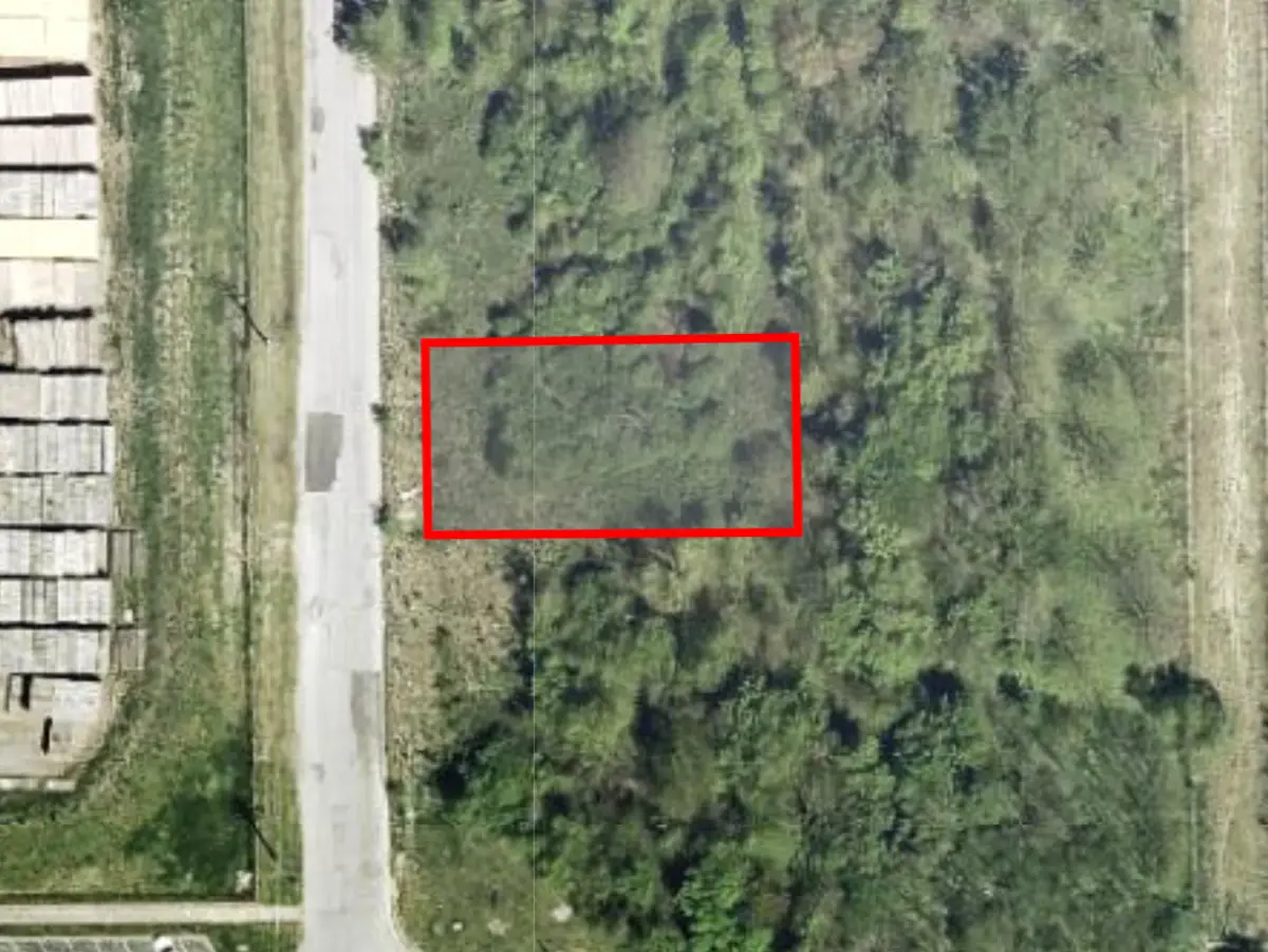 15339 S Wallace Avenue, South Holland, IL 60473 - #1