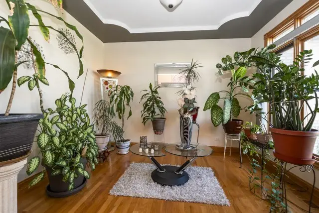 1527 Dunfries Street, Flossmoor, IL 60422 - #3