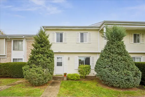 439 Mallview Lane, Bolingbrook, IL 60440