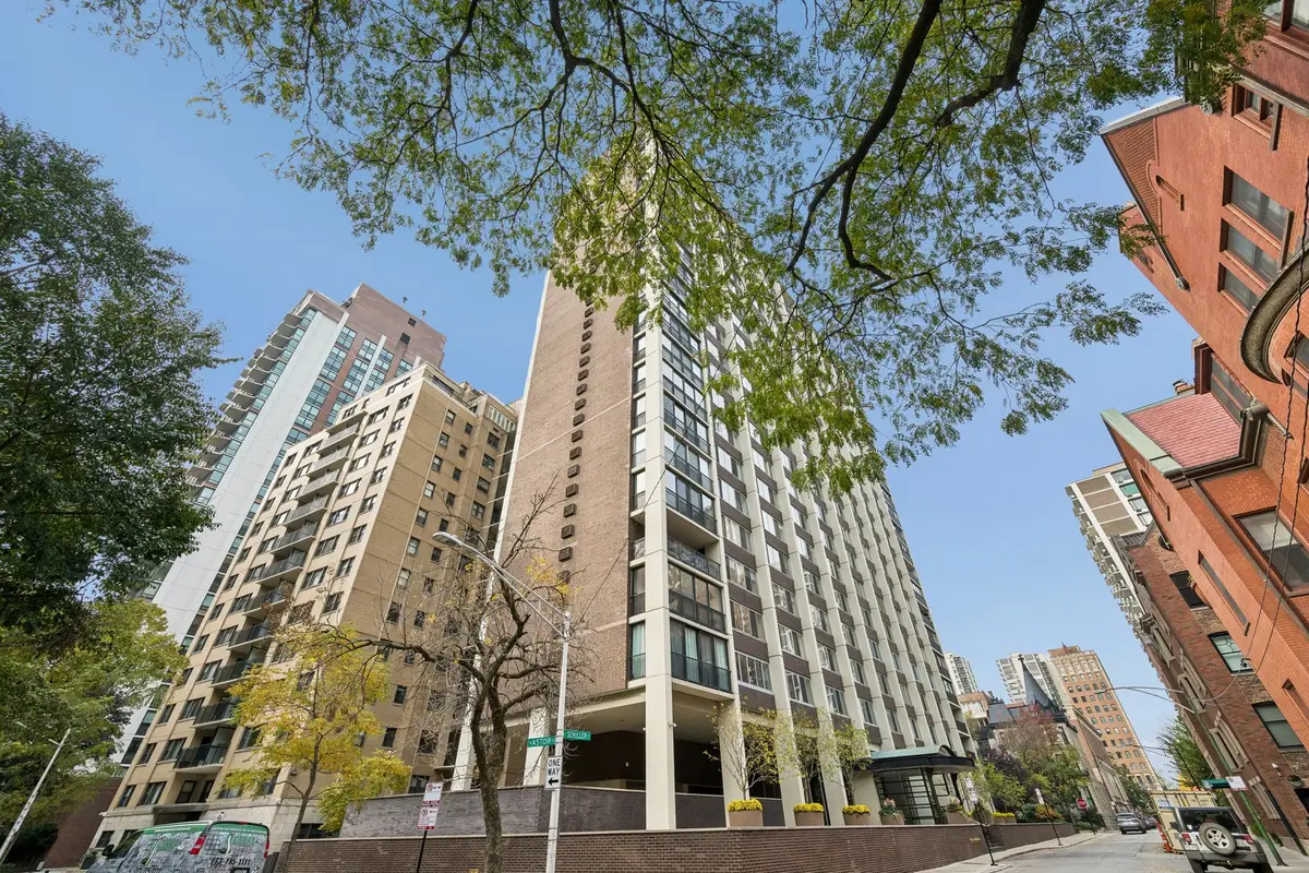 1 E Schiller Street #20C, Chicago, IL 60610 - #1