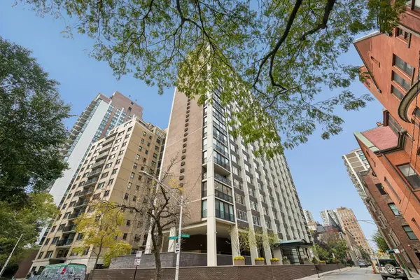 1 E Schiller Street #20C, Chicago, IL 60610