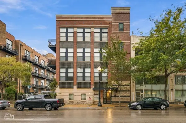 1910 S Michigan Avenue #303, Chicago, IL 60616