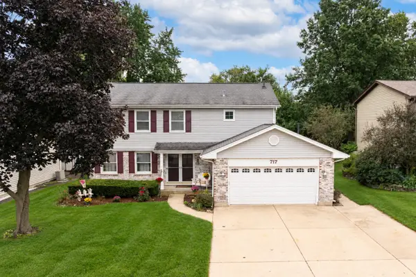 717 S Point Drive, Schaumburg, IL 60193