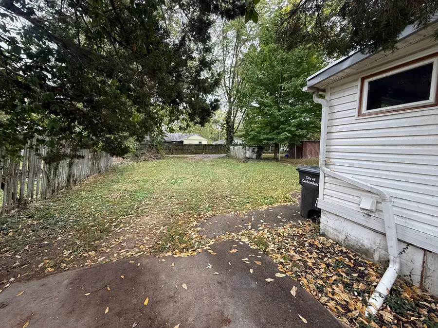 715 N James Street, Carbondale, IL 62901 - #3